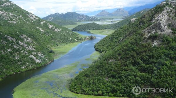 Скадарское озеро (Черногория) фото