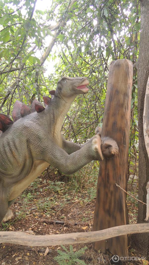 Купить Билет В Сафари Парк Краснодар