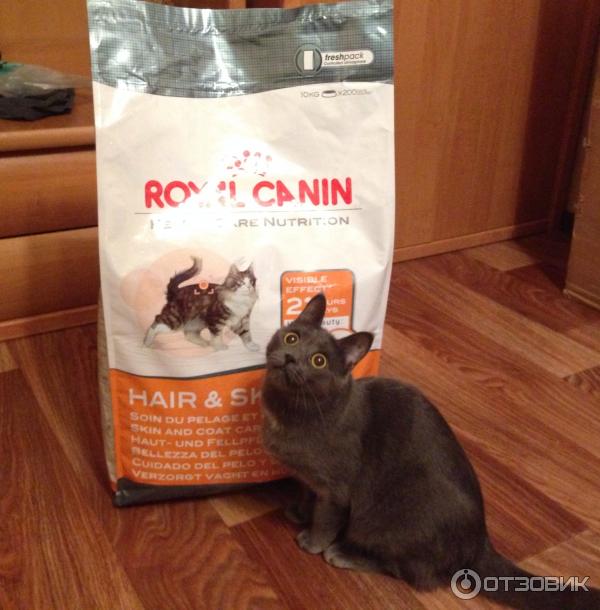 Роял канин лого. Royal canin babydog milk. Корма роял канин для собак. Роял. Животные роял канин.