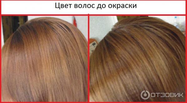 Краска для волос Garnier Color Naturals ольха 7.1