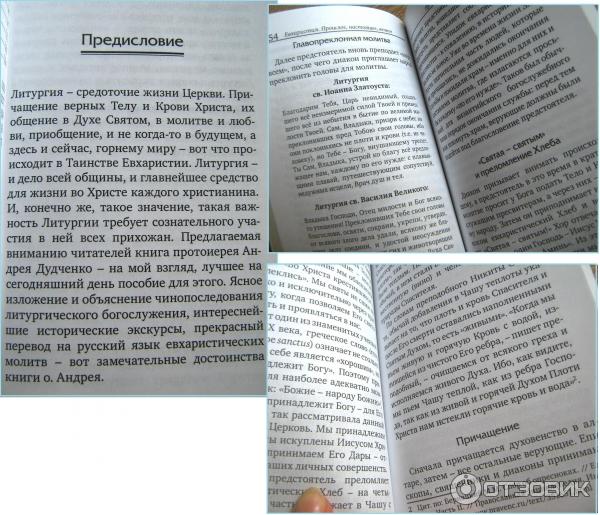 Книга Евхаристия: прошлое, настоящее, вечное - протоиерей Андрей Дудченко фото