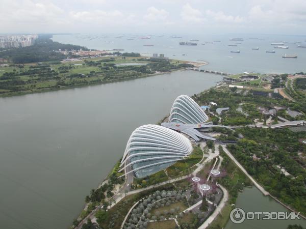 Смотровая площадка отеля Marina Bay Sands Skypark (Сингапур) фото