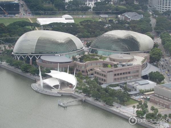 Смотровая площадка отеля Marina Bay Sands Skypark (Сингапур) фото