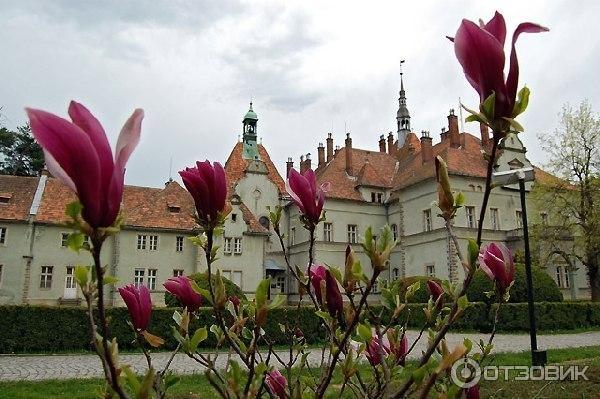 Замок графа Шенборна (Украина, Закарпатская обл.) фото