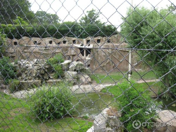 Зоопарк ZSL London Zoo (Англия, Лондон) фото