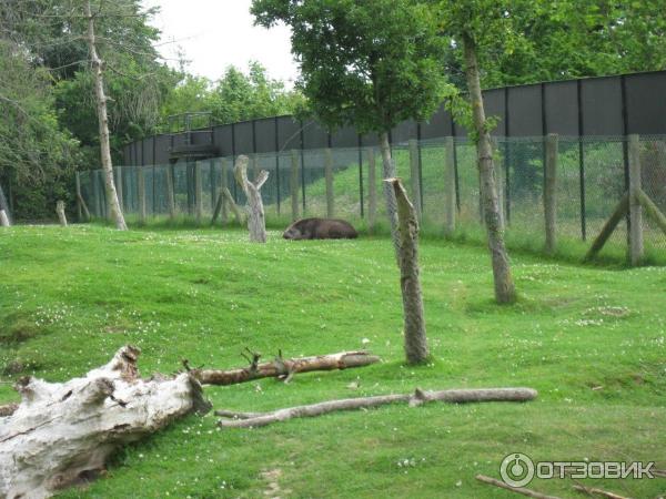 Зоопарк ZSL London Zoo (Англия, Лондон) фото