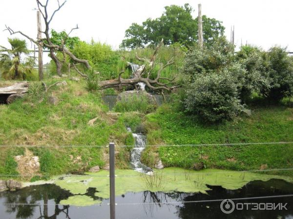 Зоопарк ZSL London Zoo (Англия, Лондон) фото