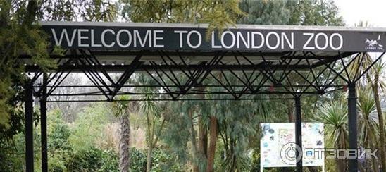 Зоопарк ZSL London Zoo (Англия, Лондон) фото