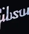 Роман Gibson-usa