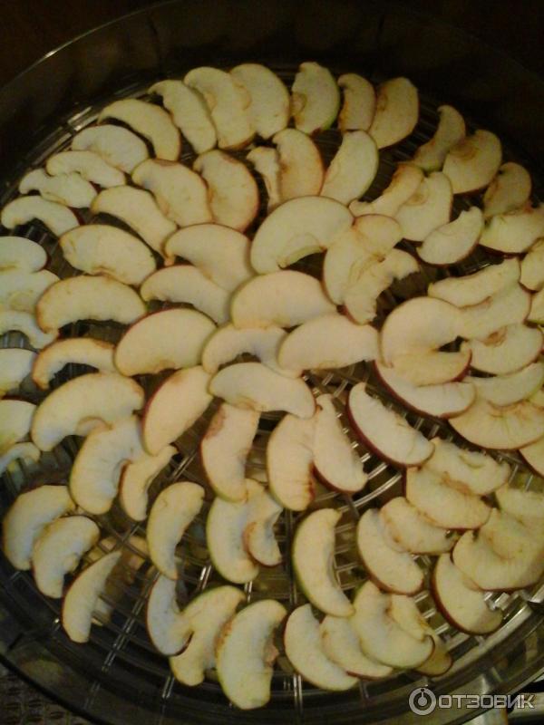 Груши в электросушилке. Груши в электросушилке температура и время. Как завялить грушу в духовке. Груши в электросушилке температура и время. Груши в электросушилке температура и время.