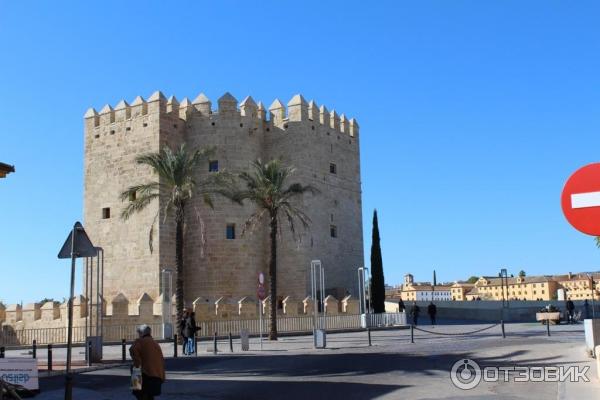 Римский мост (Puente romano de Córdoba) (Испания, Кордова) фото