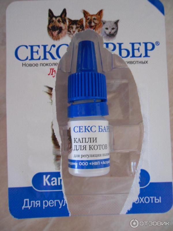 Секс Контроль Капли Для Котов Сколько Каплей Секс Контроль Капли Для Котов Сколько Каплей