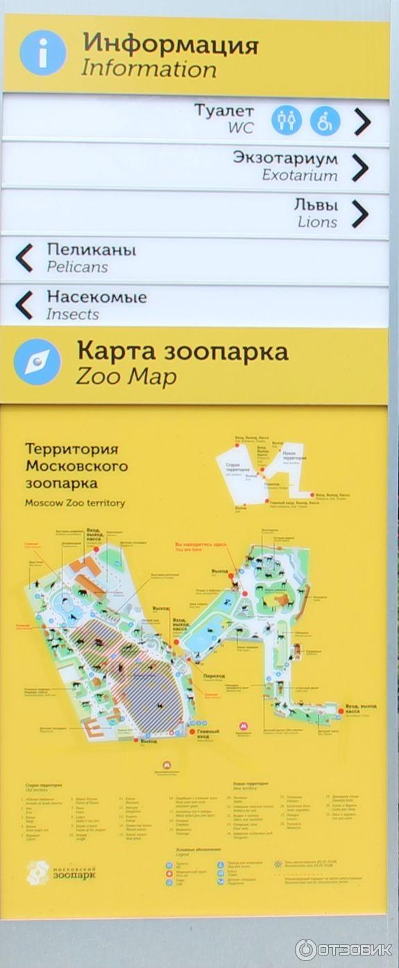 Московский Зоопарк (Россия, Москва) фото