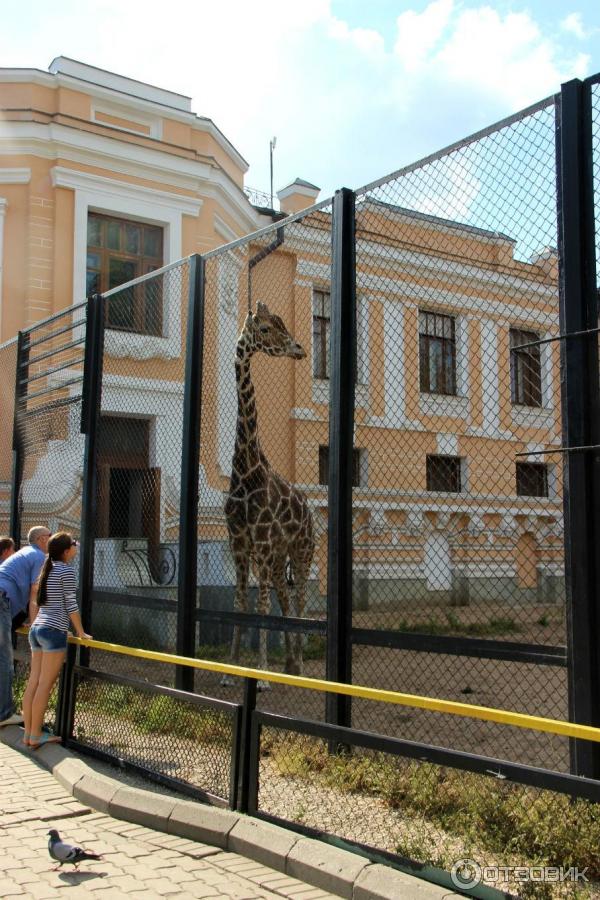 Московский Зоопарк (Россия, Москва) фото