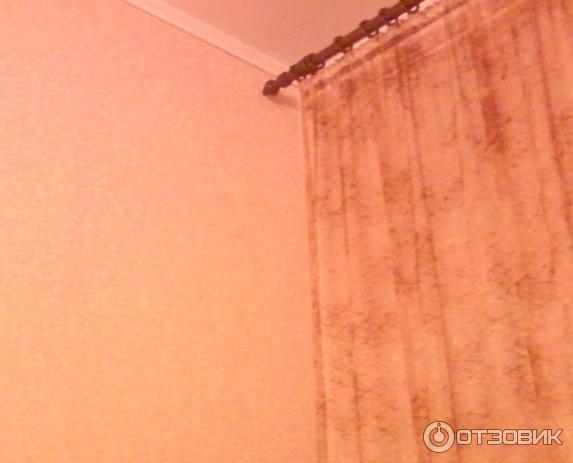 Виниловые обои на флизелиновой основе Эдем Status фото
