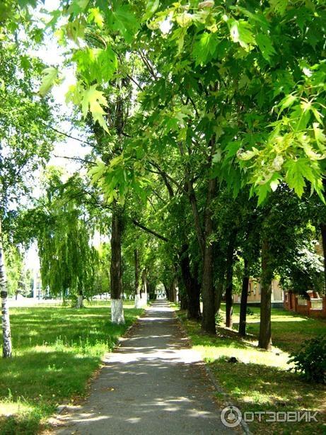 Парк ленина белгород фото Отзыв о Городской парк культуры и отдыха имени В.И. Ленина (Россия, Белгород) Ст