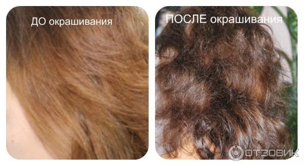 Краска для волос L'oreal Paris Prodigy фото