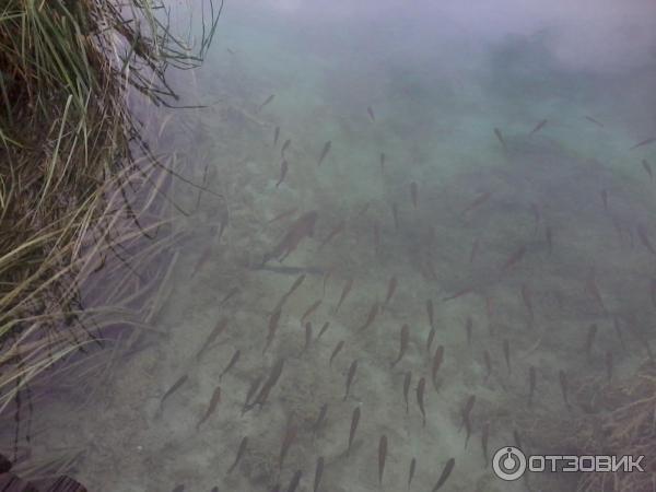 Национальный парк Плитвицкие озера (Хорватия, Лицко-Сеньская жупания) фото