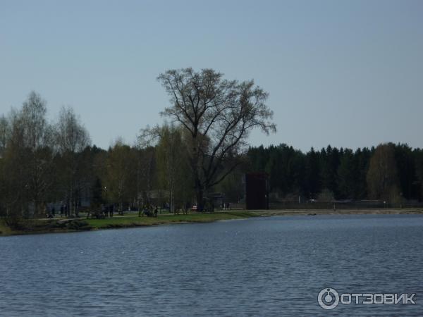 Санаторий Митино (Россия, Киров) фото