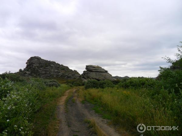 Саввушка алтайский край погода на неделю. Обсерватория Саввушка. Лагерь Чайка Саввушка.