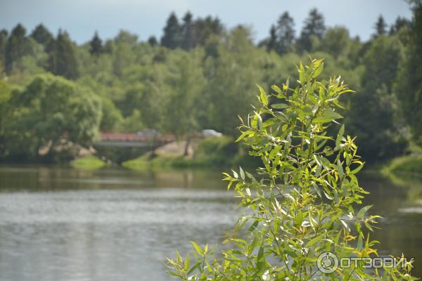 Музей-заповедник Абрамцево (Россия, Сергиево-Посадский район) фото