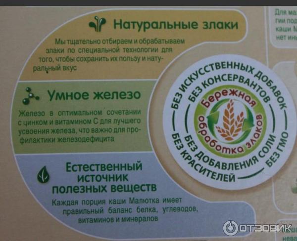 Каша Малютка Nutricia гречневая молочная с черносливом фото