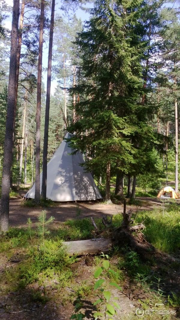 Петяярви фото. Петяярви фото. Петяярви экотропа грибы. Петяярви фото. Петяярви фото.