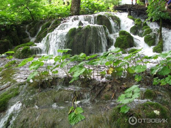 Национальный парк Плитвицкие озера (Хорватия, Лицко-Сеньская жупания) фото