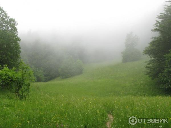 Национальный парк Плитвицкие озера (Хорватия, Лицко-Сеньская жупания) фото