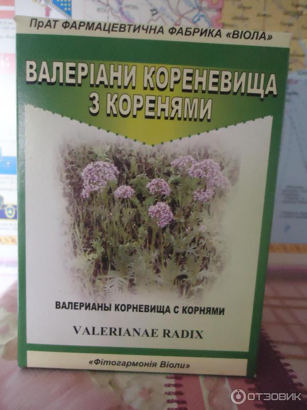 Настой корня на латинском. Фармацевтическая фабрика травы. Валериана заваривать. Валерьянка здоровый сон. Как заваривать валерьянку.