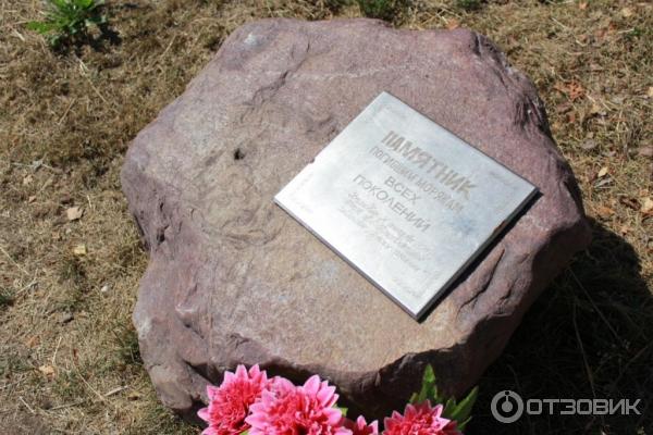 Экскурсия по г. Десногорск (Россия, Смоленская область) фото