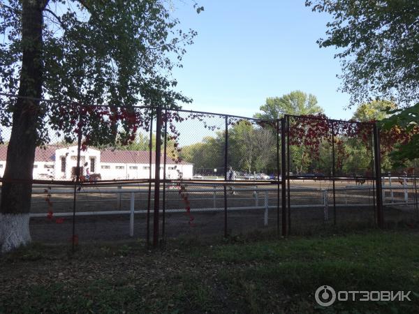 Измайловский Парк Культуры и Отдыха (Россия, Москва) фото