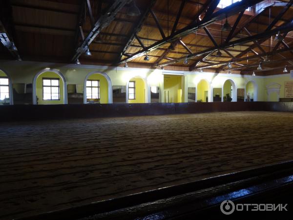 Измайловский Парк Культуры и Отдыха (Россия, Москва) фото