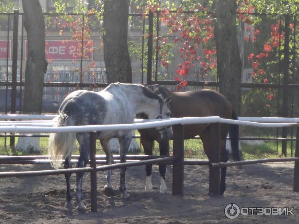 Измайловский Парк Культуры и Отдыха (Россия, Москва) фото