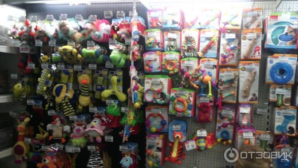 Кэш керри игрушки. Игрушка кэш энд керри тула. Игрушка кэш энд керри тула. Игрушки кеш и керри в туле. Метро игрушка.