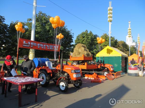 Выставка-ярмарка на ВВЦ Золотая осень 2014 (Москва) фото