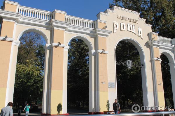 Чистяковская роща в краснодаре фото Отзыв о Чистяковская роща (Россия, Краснодар) Тихий и уютный парк