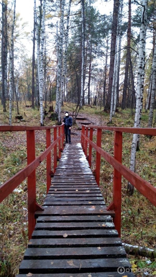 Экскурсия по природному парку Оленьи ручьи (Россия, Свердловская область) фото