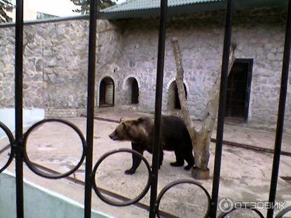 Харьковский Зоопарк (Украина, Харьков) фото