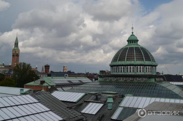 Глиптотека Карлсберга (Дания, Копенгаген) фото
