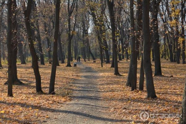 Музейный комплекс Усадьба Асеевых (Россия, Тамбов) фото