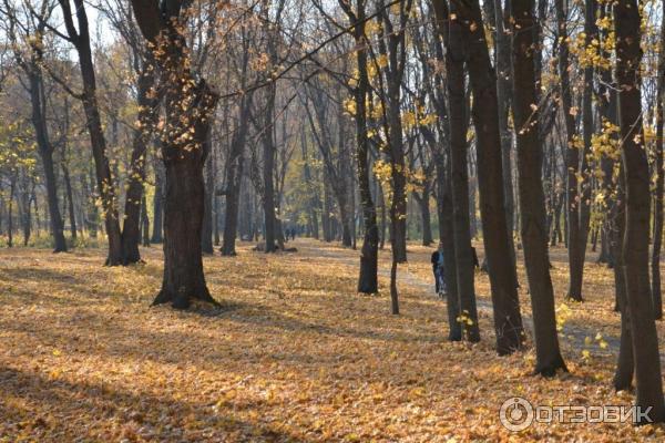 Музейный комплекс Усадьба Асеевых (Россия, Тамбов) фото