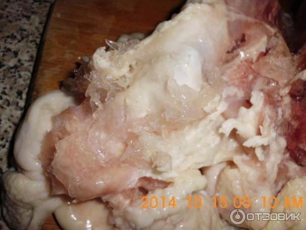 Цыпленок-бройлер для жарки Курочка краса ООО Птицефабрика Ново-Ездоцкая. Белгородская область фото
