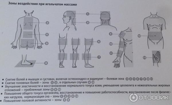 Аппликатор Кузнецова От Целлюлита Отзывы Фото