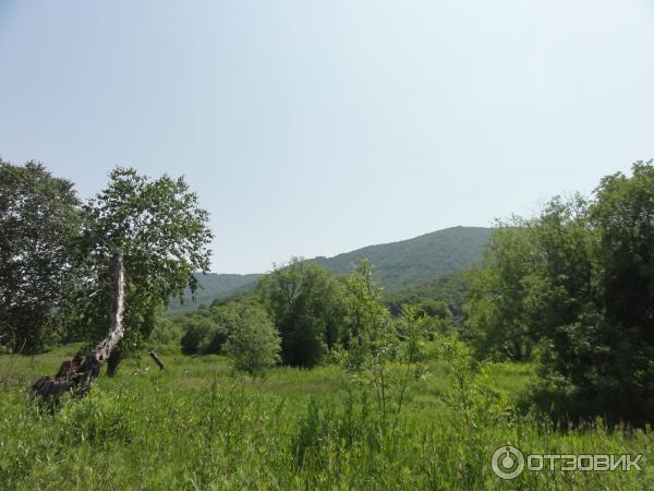 Город Петропавловск-Камчатский (Россия, Камчатская область) фото