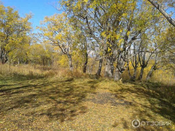 Петропавловск-Камчатский, ул. Лизы Чайкиной