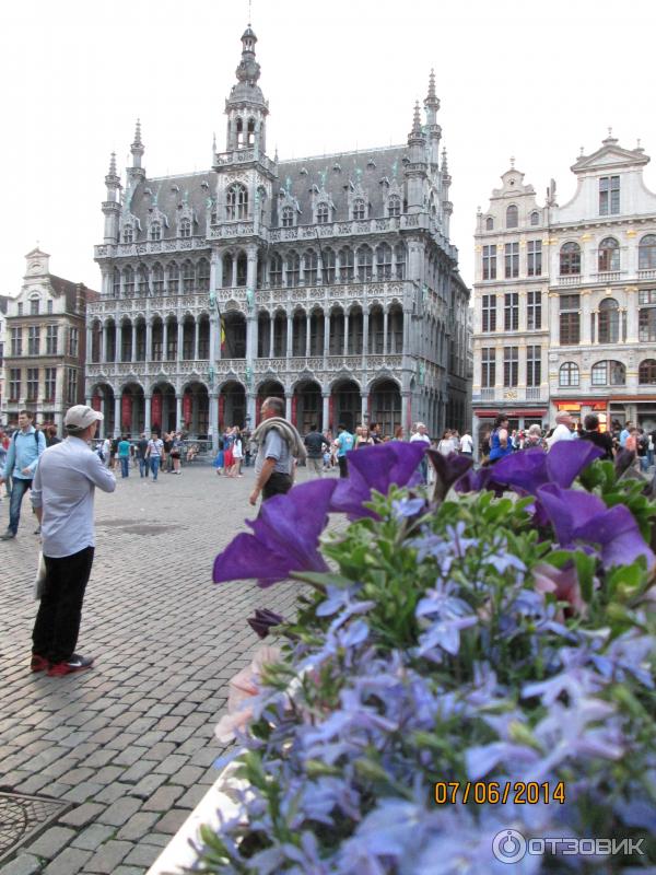 Бельгия Брюссель площадь Belgium Brusseles square