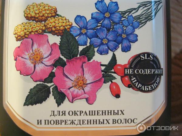 Мягкий шампунь Рецепты бабушки Агафьи Восстановление и защита - для окрашенных и повережденых волос фото