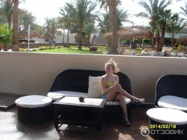 Отель Beach Albatros Sharm 4* (Египет, Шарм-эль-Шейх) фото