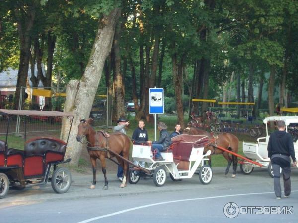 Отдых в г. Паланга (Литва, Паланга) фото